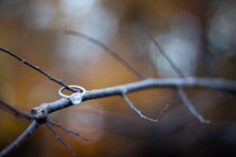 engagement ring on a twig 