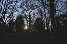 sunburst behind a tree line 