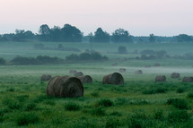 bales of hay in a field 