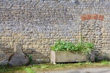 planter in front of a stone wall 