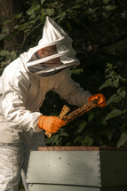 Honey bee hive frame being handled by a beekeeper