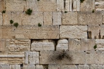 Stones of the Western (wailing) wall 