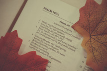 Psalm 100:1, A Psalm of Thanksgiving 