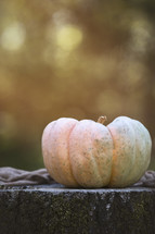 Fall pumpkin on a stump with golden light behind