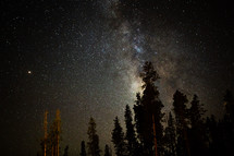 stars in the night sky above a forest 