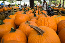 pumpkins at a market 