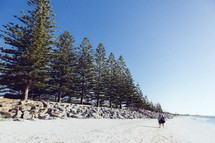 A man and woman walk along a tree lined beach.