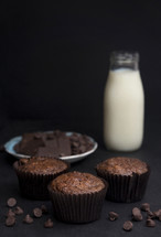 Whole Wheat Double Chocolate Chip Muffins with milk 