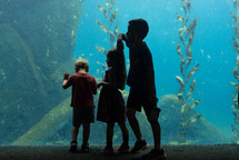 kids at an aquarium 