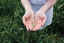 grass seeds in cupped hands 