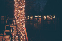 A ladder next to a tree covered in white Christmas lights, at night.
