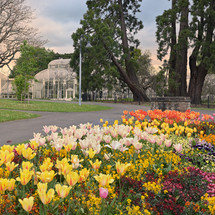 The National Botanic Gardens of Ireland. Spring in Dublin