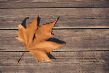 a brown leaf on wood boards 