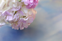 white and pink flower arrangement 