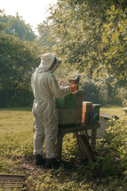 Bee keeper working with honey bees, man made bee hive