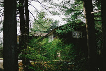 a house in the woods 