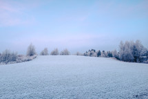 winter scene on a snowy field 