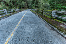rural road lined by a stone wall with moss 