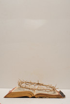 A crown of thorns laying on a Bible with a white background.