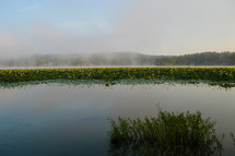 Lake in the morning