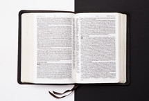 pages of an open Bible on black and white 