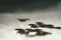 coins on a table 