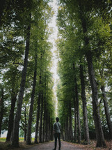 man standing in the middle of a tree lined road 