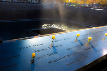 yellow roses at the 9/11 memorial 