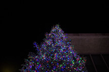top of a Christmas tree 