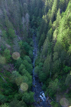 aerial view over a river in a forest 