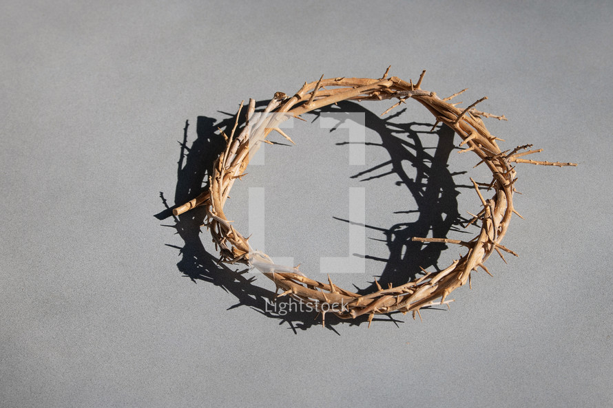 Crown of Thorns with shadow on a grey background