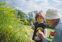 grandfather and granddaughter picking flowers outdoors 