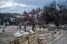 cemetery in Jerusalem 