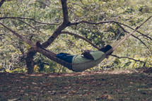 man sleeping in a hammock 