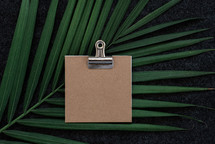 blank notepad on a clip and palm frond 