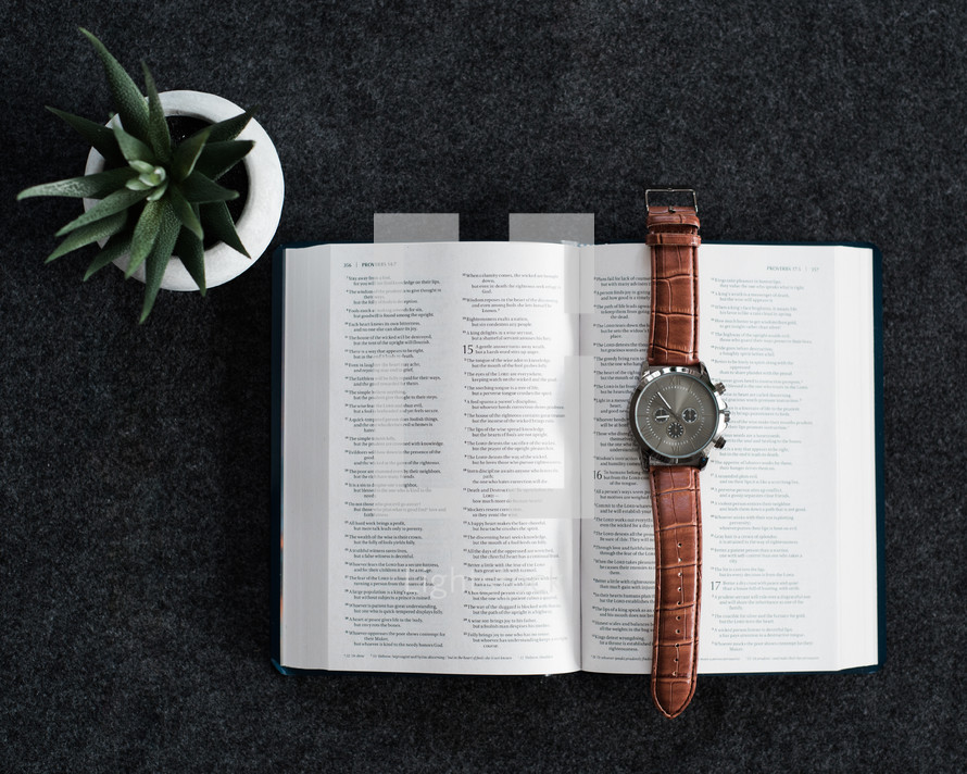 A wristwatch laying on an open Bible and a succulent plant on a black background.