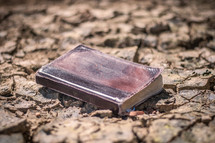 Missions: Sending the Word to a dry and parched land.