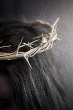 crown of thorns on Jesus' head 