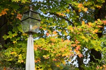 Lamp post in the fall foliage.