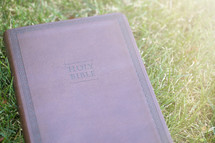Bible on grass