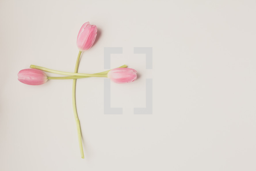 pink tulips in the shape of a cross 
