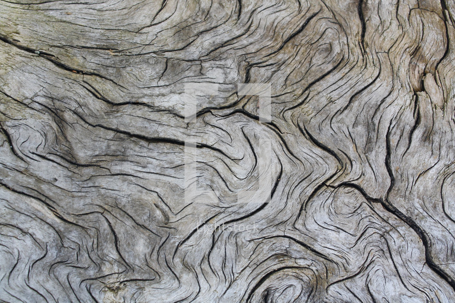 gray wood grain background 