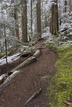 A mountain trail in the wilderness with a dusting of snow.