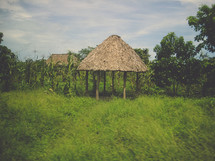 straw roof on a shelter 