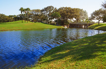 View of pond and palm trees and parkland in Florida, USA