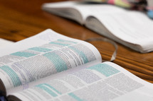 Open Bible laying on table with blue highlighter on pieces of text, closer view of text