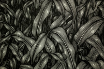 Dark green illustrated image of leaves 