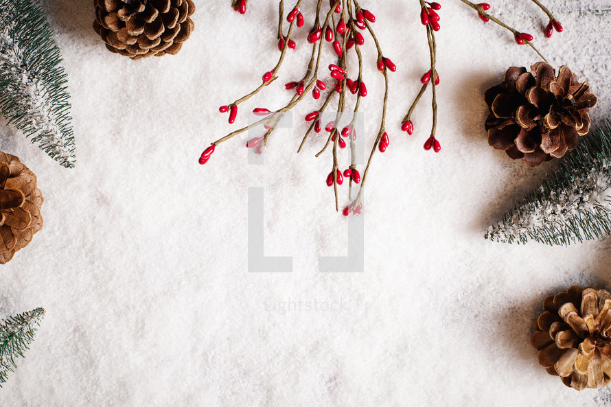 Snowy background with pine cone and berry frame