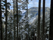 Snowy forest with mountains and clouds