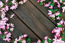 border of azalea flowers on a wood deck 